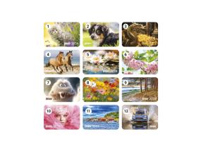 Taskukalenteri 291447000*