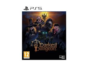 Darkest Dungeon 2, PlayStation 5 - Peli