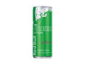 RED BULL Energiajuoma Green Edition Cactus Fruit 250ml