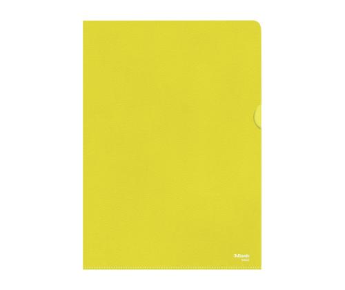 Muovitasku A4 (L) 100 mic Esselte 100 kpl paketissa