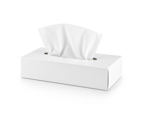 Kosmeettiset pyyhkeet 2-kerroksiset valkoinen 100kpl