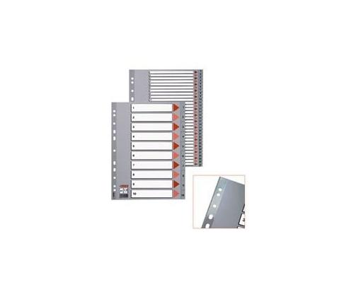 Jakaja Esselte PP, A4, numerot 1-12, muovia