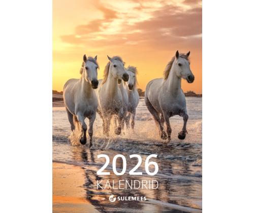 Flaier-luettelo Sulemees 2024