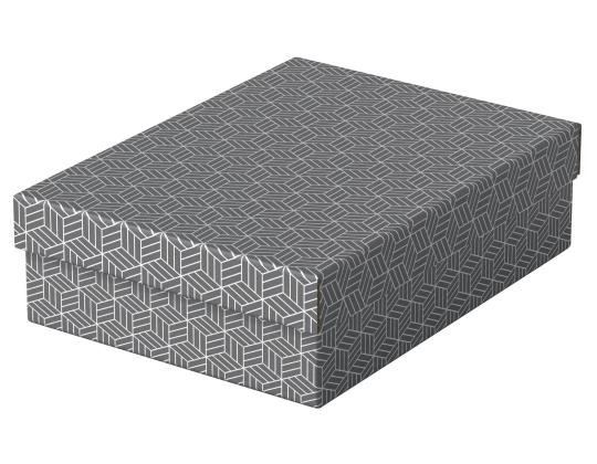 Säilytyslaatikko kannella ESSELTE Home Storage Box (265 x 100 x 360 mm) 3 kpl pakkauksessa