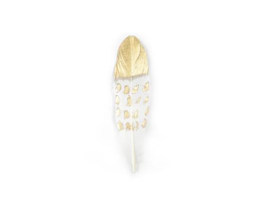 Värilliset höyhenet 13-19cm