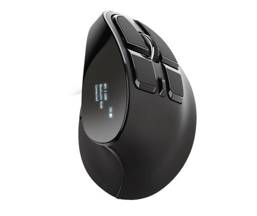 Hiiri USB OPTICAL ERGONOMIC/VOXX 23731 TRUST