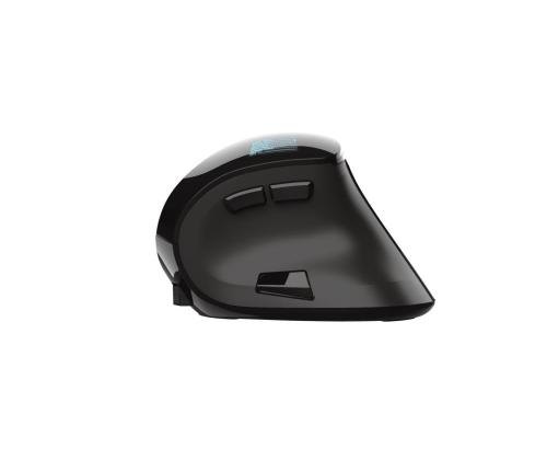 Hiiri USB OPTICAL ERGONOMIC/VOXX 23731 TRUST