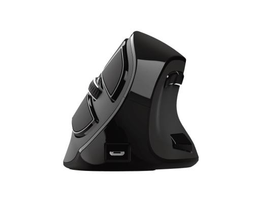 Hiiri USB OPTICAL ERGONOMIC/VOXX 23731 TRUST