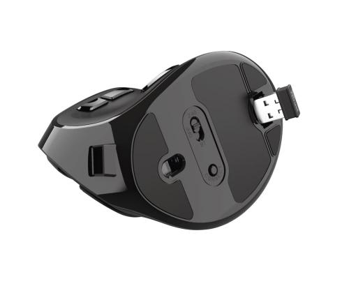 Hiiri USB OPTICAL ERGONOMIC/VOXX 23731 TRUST