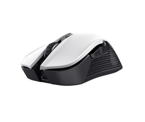 Tietokonehiiri, optinen Langaton YBAR GTX923W 24889 TRUST