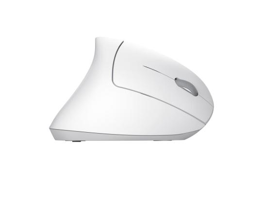 Hiiri USB OPTICAL WRL VERTO/ERGONOMIC WHITE 25132 TRUST
