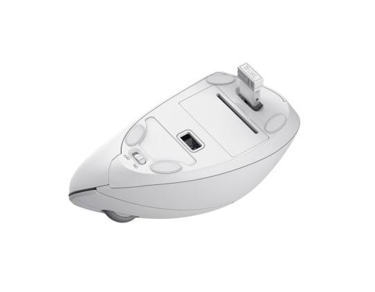 Hiiri USB OPTICAL WRL VERTO/ERGONOMIC WHITE 25132 TRUST