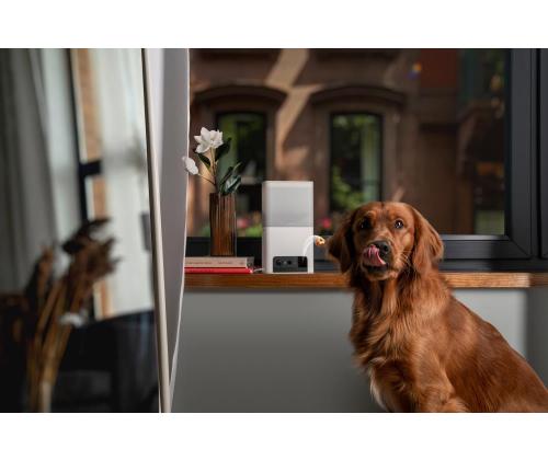 WRL KAMERA PUREE 2 LITE/BL10US LEMMIKKIKUUTIO