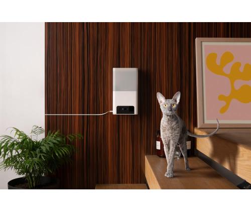 WRL KAMERA PUREE 2 LITE/BL10US LEMMIKKIKUUTIO