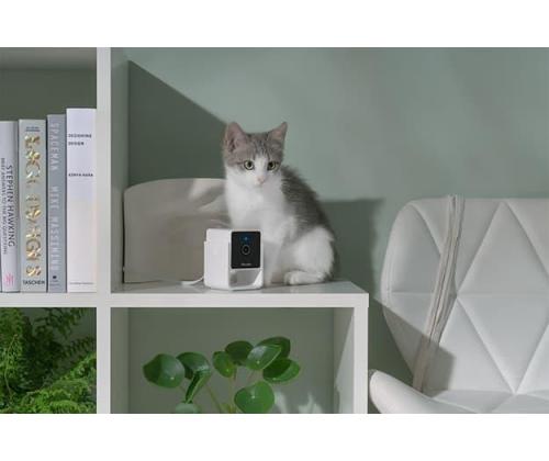 WRL-KAMERA HD/CC10US PETCUBE