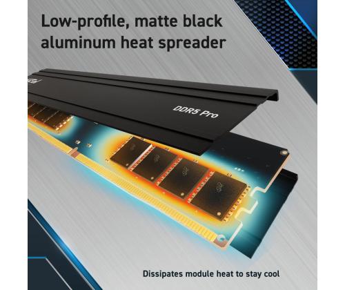 MUISTI DIMM PRO 32GB DDR5-5600/CP32G56C46U5 RATKAISEVA