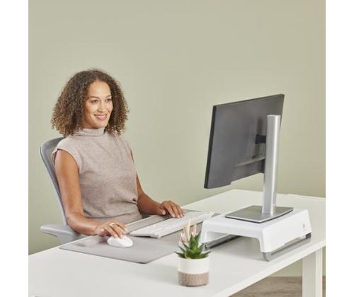 HIIREN KÄMMENEN RANNETUKI/HIEKKA 100142569 FELLOWES