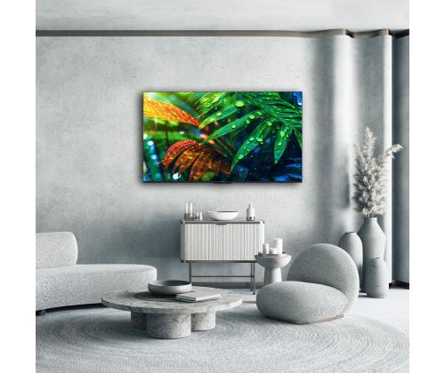 Televisio THOMSON 55 " 4K Ultra HD 3840 x 2160 pikseliä Flat 16:9 QD-Mini LED 55MG7C15