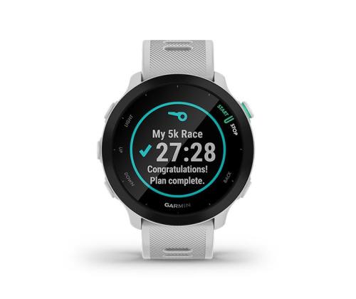 ÄLYKELLO FORERUNNER 55/WHITESTONE 010-02562-11 GARMIN