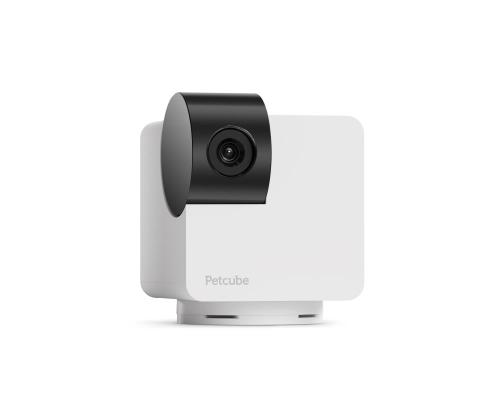 WRL KAMERA CAM 360/P36010US PETCUBE LEMMIKKIKUUTIO