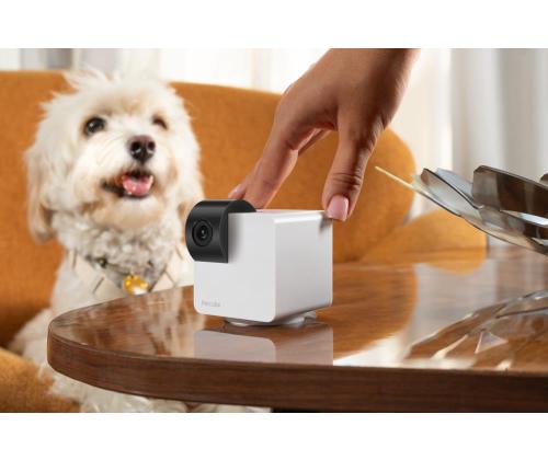WRL KAMERA CAM 360/P36010US PETCUBE LEMMIKKIKUUTIO