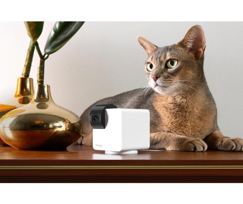 WRL KAMERA CAM 360/P36010US PETCUBE LEMMIKKIKUUTIO