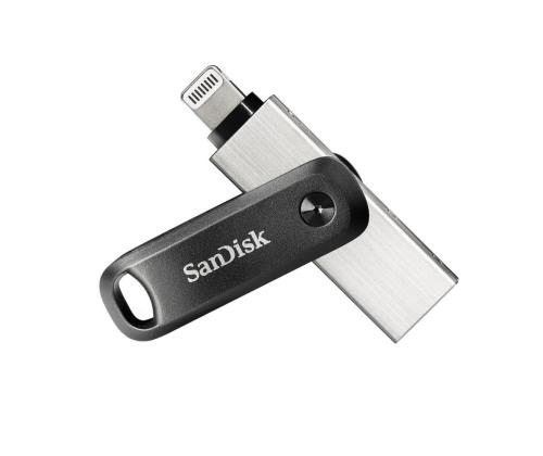 MUISTIASEMA FLASH USB3 256GB/SDIX60N-256G-GN6NE hiekkalevy