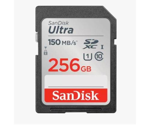 MUISTI SDXC 256 Gt UHS-I/SDSDUNC-256G-GN6IN hiekkalevy