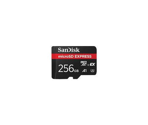 MUISTI MICRO SDXC 256GB UHS-I/SDSQXFN-256G-GN4NN SANDISK