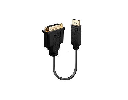 Üleminek DisplayPort DVI 41004 LINDY:hen