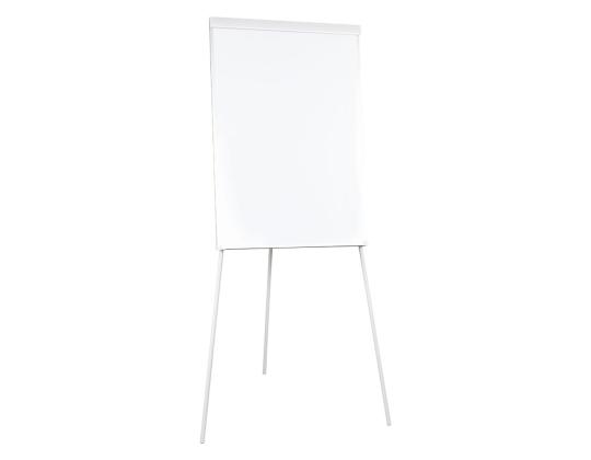 Luentotaulu 700x1000mm Popchart TF01 2x3