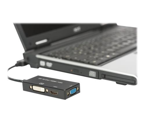 ASSMANN DisplayPort 1in3 -muunninkaapeli