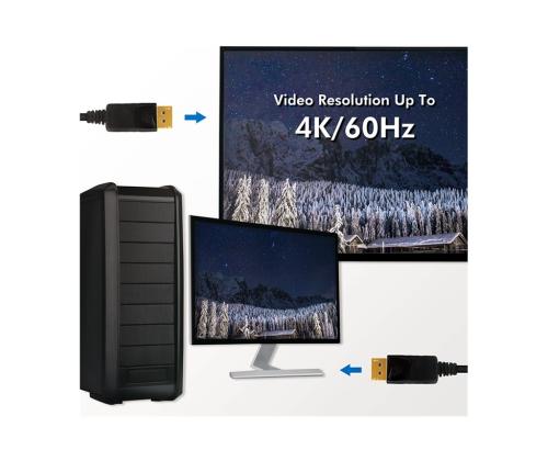 LOGILINK CV0076 LOGILINK - DisplayPort 1