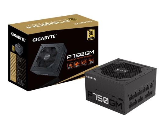 GIGABYTE GP-P750GM 750 W ATX 12V v2.31