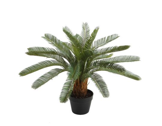 Keinotekoinen kasvi CYCAS, K70cm, palmunlehti, musta ruukku