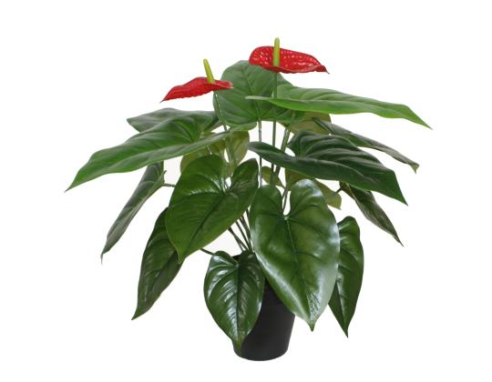 Keinotekoinen kasvi ANTHURIUM, K45cm, flamingokukka, musta ruukku