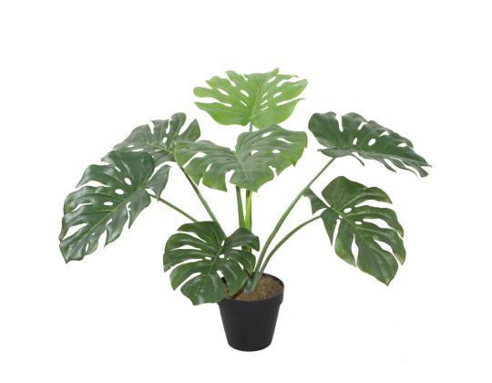 Keinotekoinen kasvi MONSTERA, K60cm, musta ruukku