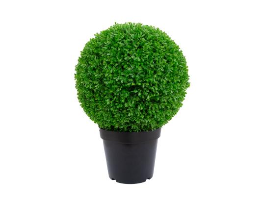 Keinotekoinen puu BOXWOOD, K60cm, musta ruukku