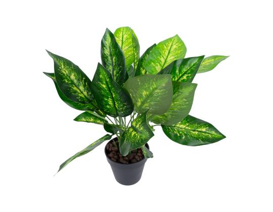 Keinotekoinen kasvi DIEFFENBACHIA, K45cm, musta ruukku