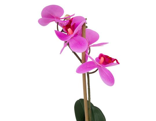 Purppura orkidea 1 oksalla PUUTARHASSA, K46cm, musta ruukku