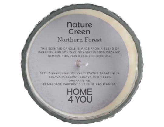 Tuoksukynttilä lasissa NATURE GREEN H13cm, Northern Forest