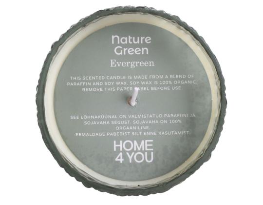 Tuoksukynttilä lasissa NATURE GREEN H13cm, Evergreen