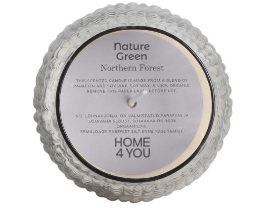 Tuoksukynttilä lasissa NATURE GREEN H10,8cm, Northern Forest