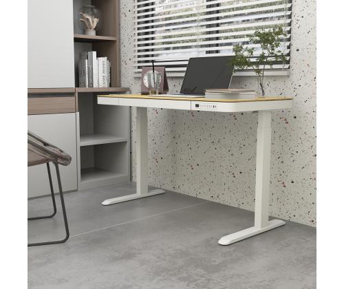 Säädettävä pöytä ERGO 1-moottori 120x60xK72-121cm, valkoinen/tammi