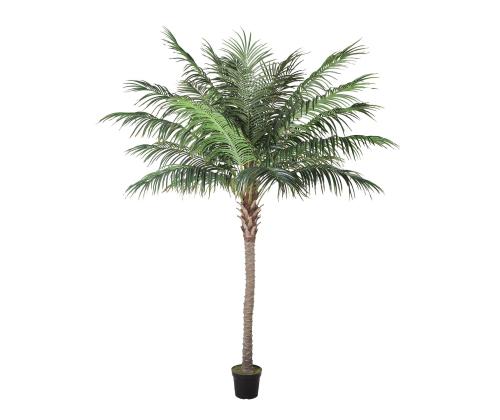 Keinotekoinen puu WIND PALM H260cm