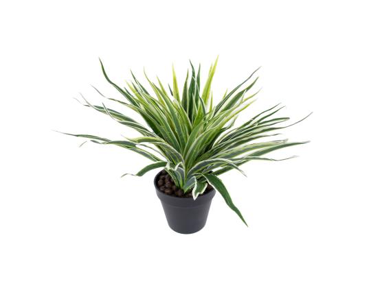Keinotekoinen kasvi GREEN GRASS, K30cm, musta ruukku