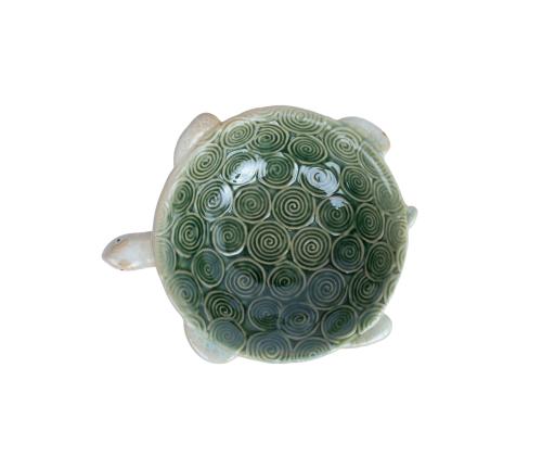 Koriste AMY TURTLE 16x13x3,5cm