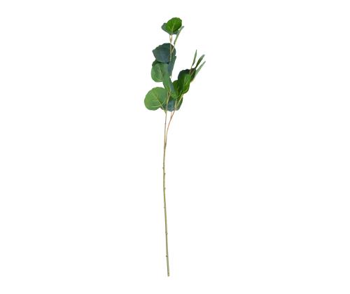 Keinotekoinen kasvi GREENLAND H73cm, eukalyptus