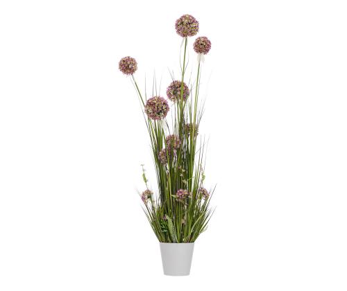 Tekokukka IN GARDEN H120cm, violetti allium, ruohon kärjet ruukussa