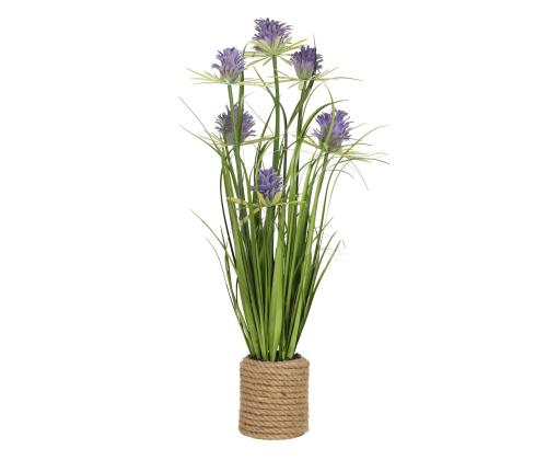 Tekokukka Puutarhassa H70cm, violetti krysanteemi, heinäsirkat ruukussa